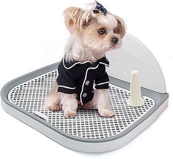Dog Training Toilet