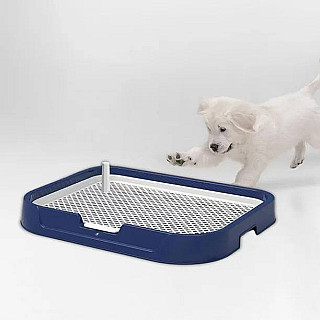 Dog Potty Toilet