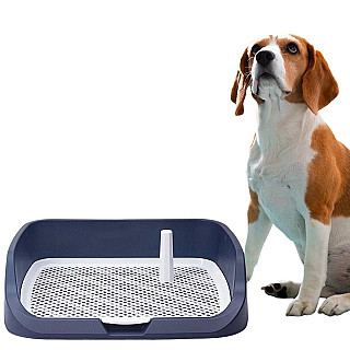 Large Dog Potty Toilet