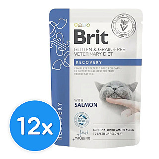 Brit Recovery with Salmon