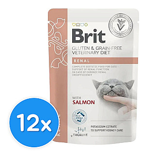 Brit Renal With Salmon