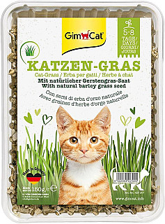 GimCat- Cat Grass