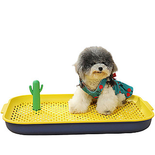 Dog Training Toilet
