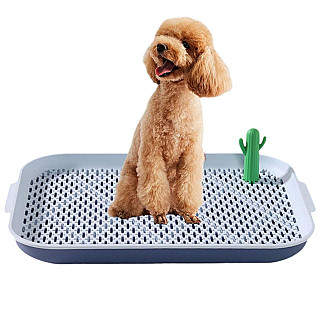 Dog Training Toilet