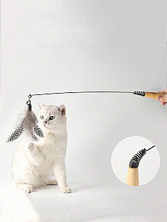 Cat Spring Toy