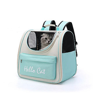Hello Cat Carriage Bag
