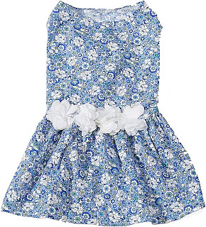 Dress Xs