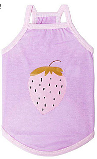Pet Clothes