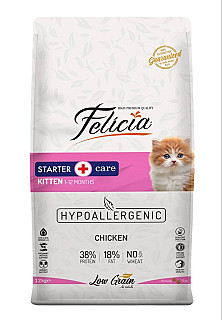 Felicia Kitten مریشک