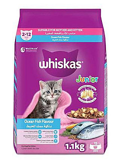 Whiskas Junior ماسی ئۆقیانوس