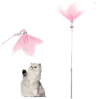 Cat Teaser Toy