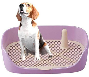 Dog Potty Toilet
