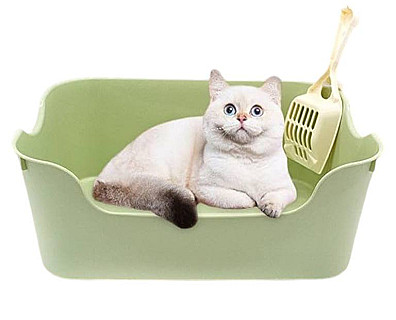 لیتربوکس مفتوح