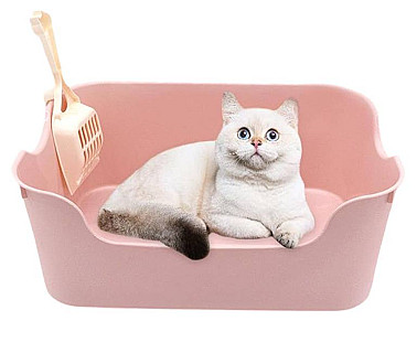 لیتربوکس مفتوح