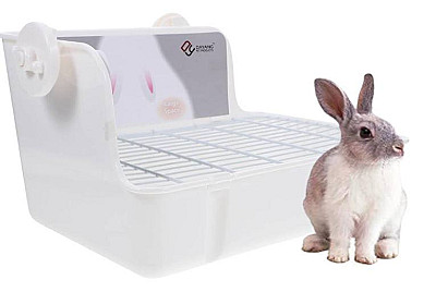 Rabbit Toilet