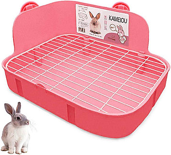 Rabbit Toilet