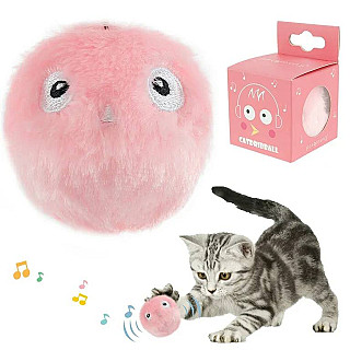 Cat Ball Toy