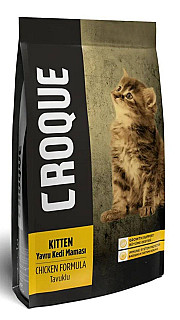 Croque Kitten مریشک