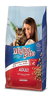 Miglior Gatto گۆشتی مانگا