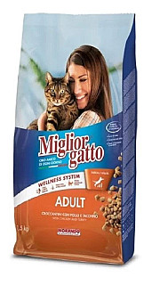 Miglior Gatto مریشک و عەلەشیش