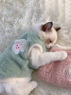 Cat Clothes