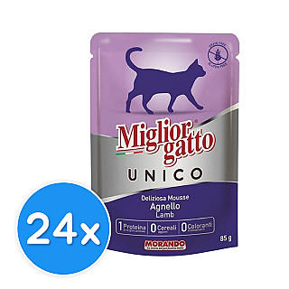 Miglior Gatto Lamb