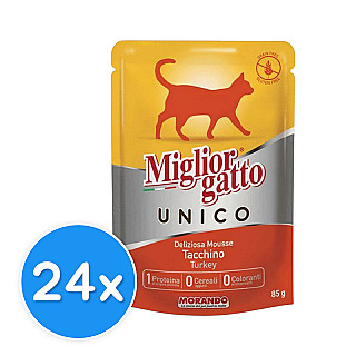 Miglior Gatto Turkey
