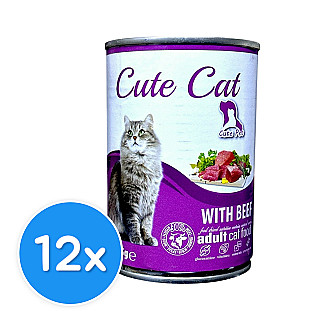 Cute Cat Adult with Beef