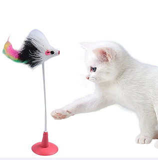 Cat Toy