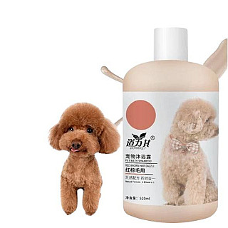 DORRIKEY Color Protect Shampoo