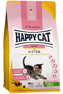 Happy Cat Kitten پەلەوەر
