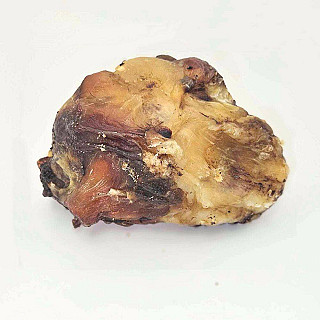 Cow Kneecap Bone