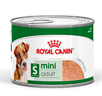 Royal Canin Mini Adult