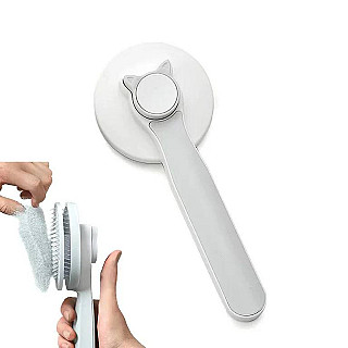Hair Removal Brush