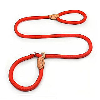 Leash