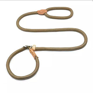 Leash