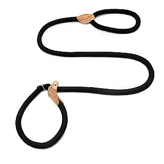 Leash
