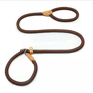 Leash