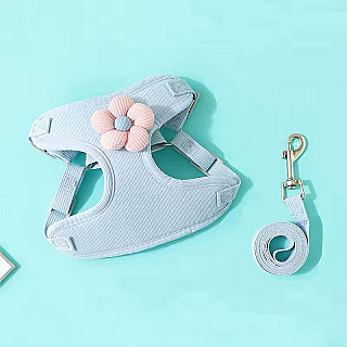 Soft Leash & Harness