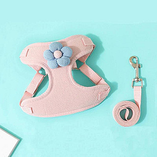 Soft Leash & Harness