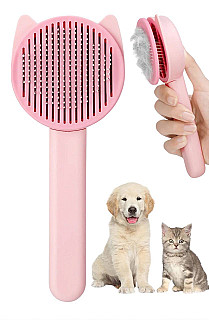 Hair Removal Brush
