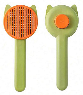 Hair Removal Brush