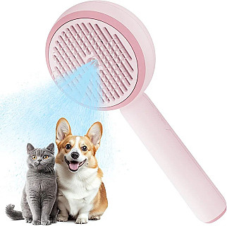 Steam Brush