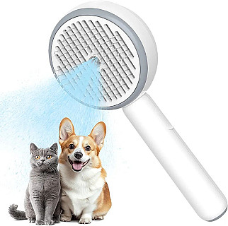 Steam Brush
