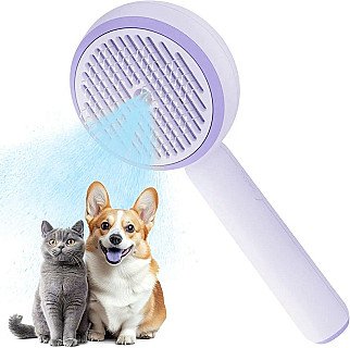 Steam Brush