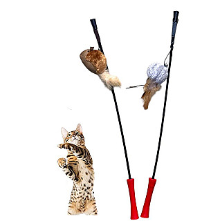Stick Toy