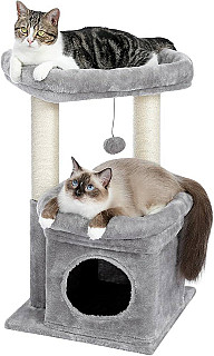 Cat Scratcher & Bed