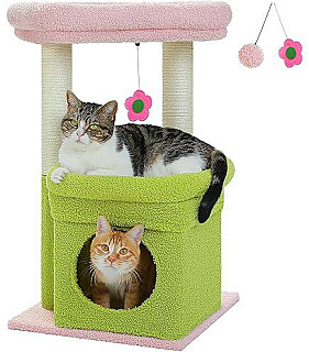 Cat Scratcher & Bed