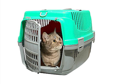 Pet Carriage