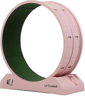 Cat Running Wheel
